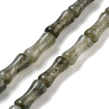 Natural Labradorite Beads Strands, Bamboo Joint, 12x5x4mm, Hole: 1mm, about 32pcs/strand, 14.96''(38cm)