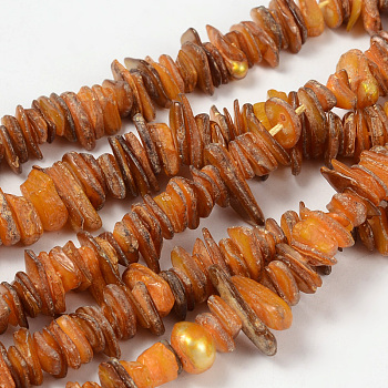 Natural Shell Beads Strands, Chips, Dyed, Orange, about 6~15mm, 1~5mm thick, hole: 1mm, about 190pcs/strand, 15 inch