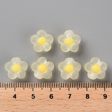 Transparent Acrylic Beads(X-TACR-S152-06C-SS2105)-4