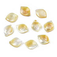 Natural Yellow Shell Pendants, Petaline, 13~14x10x2~3mm, Hole: 0.8mm(SSHEL-S258-101B)