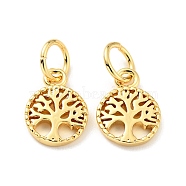 Rack Plating Brass Pendants, Flat Round with Tree of Life Pattern, with Jump Ring, Cadmium Free & Nickel Free & Lead Free, Real 18K Gold Plated, 10x7.5x1mm, Jump Ring: 5x0.7mm, Hole: 3.6mm(KK-C242-02G)