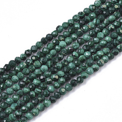 Natural Malachite Beads Strands, Faceted, Round, 2mm, Hole: 0.3mm, about 133~134pcs/strand, 15.16 inch(38.5cm)(X-G-S361-2mm-001)