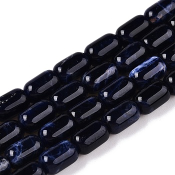 Natural Sodalite Beads Strands, Column, 9~9.5x6mm, Hole: 0.9~1mm, about 42~43pcs/strand, 15.24~15.8''(38.7~39.5cm)