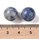 Natural Blue Spot Jasper No Hole Sphere Beads(G-K353-04B-14)-3