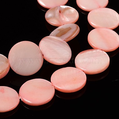 Natural Shell Beads Strands(X-PBB251Y-6)-3