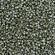 MIYUKI Delica Beads(SEED-X0054-DB1566)-3
