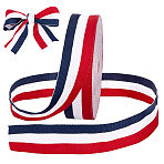 Polyester Grosgrain Ribbon, Colorful, 1-5/8 inch(40mm)(OCOR-WH0111-07A)