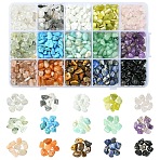 210g 14 Styles Natural Mixed Gemstone Chip Beads and 15g Opaque Glass Chip Beads Kits, 5~8x5~8mm, Hole: 0.3~1mm, 15g/style(G-YW0002-37)