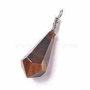 Natural Tiger Eye Pendants, with Brass Findings, Cone, Platinum, 44~46x14~15mm, Hole: 4mm(G-I220-E06)