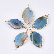 Natural Agate Wire Wrapped Links connectors, with Iron Wire, Dyed, Oval, Golden, Deep Sky Blue, 45~60x20~30x5~8mm, Hole: 4mm(G-S344-104B)