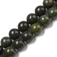 Natural African Green Autumn Jasper Beads Strands, Round, 8mm, Hole: 0.8mm, about 49pcs/strand, 15.75''(40cm)(G-R494-A19-03)