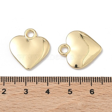 Alloy Pendants(PALLOY-A025-02G)-3