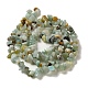 Natural Flower Amazonite Chips Beads Strands(X-G-M205-12-01)-8