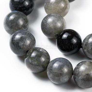 Grade AA Natural Gemstone Labradorite Round Beads Strands(G-E251-33-10mm)-5