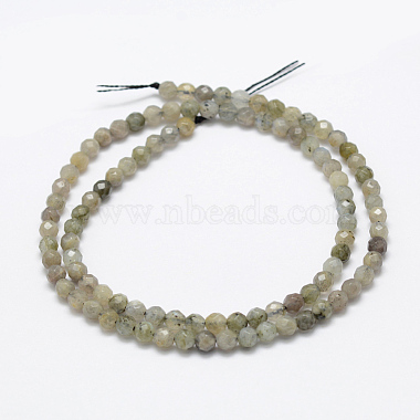 Natural Labradorite Beads Strands(G-P322-28-4mm)-2