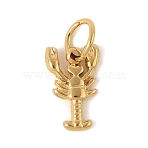 304 Stainless Steel Charms, with Jump Ring, Marine Animals, Golden, Lobster, 12x7x2mm, Hole: 3mm(STAS-V013-02A-G)