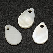 Teardrop Freshwater Shell Charms, Creamy White, 13x9x2mm, Hole: 1mm(SHEL-M005-28)