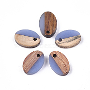 Resin & Walnut Wood Pendants, Oval, Cornflower Blue, 15.5x10.5x3~3.5mm, Hole: 1.8mm(RESI-S358-30B)