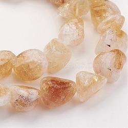 Natural Gemstone Nugget Citrine Bead Strands, Citrine, 16~22x8~16x6~8mm, Hole: 1mm, about 21pcs/strand, 16 inch(G-F156-01)