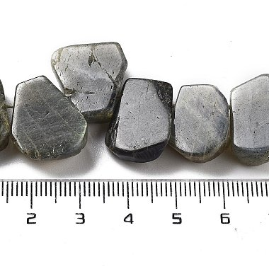 Natural Labradorite Beads Strands(G-P528-K10-01)-4