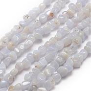 Natural Blue Lace Agate Beads Strands, Chip, 3~5x3~5x3~8mm, Hole: 1mm, about 85~90pcs/strand, 15.7 inch(40cm)(G-F465-03)
