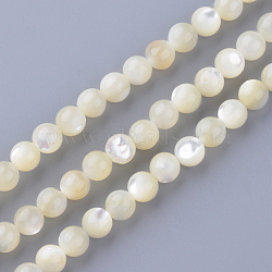 Natural Sea Shell Beads Strands, Round, 4~4.5mm, Hole: 1mm, about 86pcs/strand, 15.7 inch(X-SSHEL-S252-03)