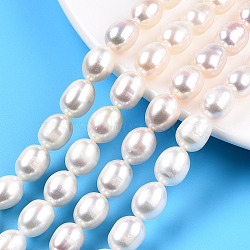 Natural Cultured Freshwater Pearl Beads Strands, Rice, Creamy White, 9.5~12x8~9mm, Hole: 0.6mm, about 35~36pcs/strand, 14.49 inch~15.39 inch(36.8cm~37.1cm)(PEAR-N012-08D)