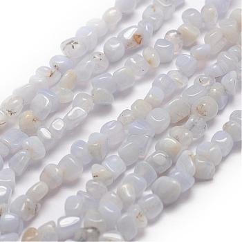 Natural Blue Lace Agate Beads Strands, Chip, 3~5x3~5x3~8mm, Hole: 1mm, about 85~90pcs/strand, 15.7 inch(40cm)