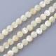 Natural Sea Shell Beads Strands(X-SSHEL-S252-03)-1