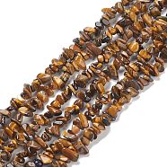 Natural Tiger Eye Chips Beads Strands, 5~8mm, Hole: 0.3mm(F012-2)