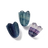 Natural Fluorite Beads, Flower, 15x12mm, Hole: 1.6mm(G-A222-03F)