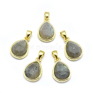 Natural Labradorite Pendants, with Golden Tone Brass Findings, teardrop, Faceted, 14.5x9.5x5mm, Hole: 2.5x3.5mm(X-G-O176J-07G)