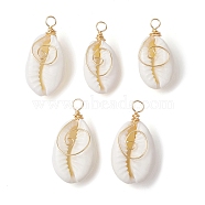 5Pcs Natural Cowrie Shell Copper Wire Wrapped Vortex Pendants, Light Gold, Shell Charms, Snow, 20~23x10.5~13x6.5~9mm, Hole: 2.5mm(PALLOY-JF02463)
