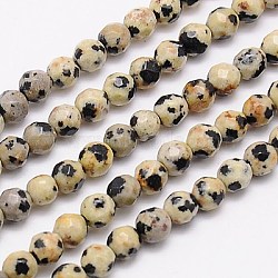 Natural Dalmation Jasper Beads Strands, Faceted, Round, Navajo White, 4mm, Hole: 1mm, about 90pcs/strand, 15.35 inch(X-G-G545-11)