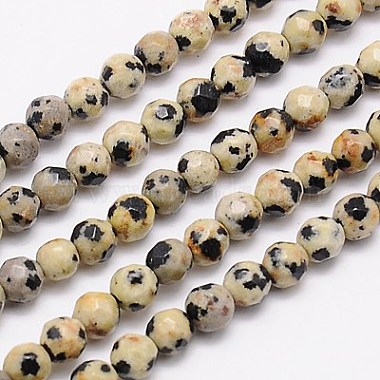 Navajo White Round Dalmatian Jasper Beads