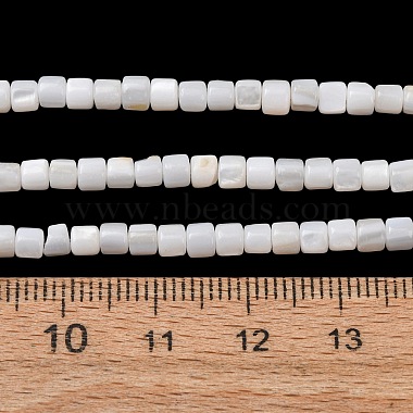 Natural Freshwater Shell Beads Strands(SH-CBA2978-21C)-4