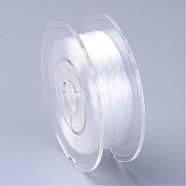 Japanese Eco-Friendly Dyed Flat Elastic Crystal String, Elastic Beading Thread, for Stretch Bracelet Making, Flat, White, 0.6mm, about 60m/roll(65.62yards/roll)(EW-F005-0.6mm-02)