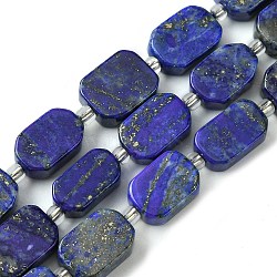 Natural Lapis Lazuli Beads Strands, with Seed Beads, Rectangle, 11.5~12.5x7.5~10x5~6.5mm, Hole: 0.8~0.9mm, about 13pcs/strand, 7.68~8.07 inch(19.5~20.5cm)(G-C098-A06-01)