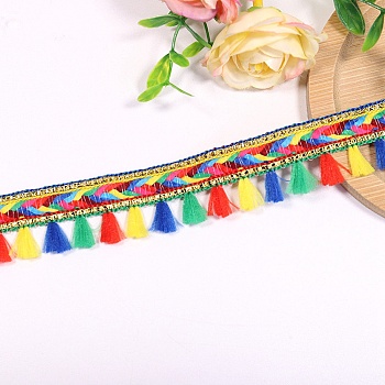 50 Yards Rainbow Color Polyester Fringe Ribbon, Tassel Ribbon, Colorful, 1 inch(25mm)