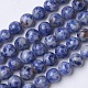 Natural Blue Spot Jasper Beads Strands(G-D855-10-8mm)-1
