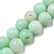 Grade A Natural Chrysoprase Beads Strands, Round, 10mm, Hole: 0.8mm, about 40pcs/strand, 15.39~15.47''(39.1~39.3cm)(G-R494-A02-04)