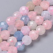 Natural Morganite Beads Strands, Faceted Round, 6mm, Hole: 1mm, about 68pcs/strand, 15.7 inch(G-R362-09)