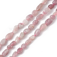 Natural Plum Blossom Tourmaline Beads Strands, Chip, 6~12x6~8x6~8mm, Hole: 1mm, about 45~47pcs/strand, 15.35''(39cm)(G-B039-01B)