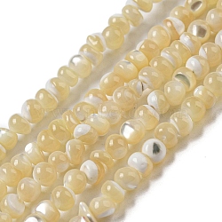 Natural Trochus Shell Beads Strands, Round, Pale Goldenrod, 4~4.5x4mm, Hole: 0.5mm, about 91~93pcs/strand, 15.35~15.55''(39~39.5cm)(SSHEL-H072-13A)
