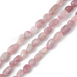 Natural Plum Blossom Tourmaline Beads Strands, Chip, 6~12x6~8x6~8mm, Hole: 1mm, about 45~47pcs/strand, 15.35''(39cm)(G-B039-01B)