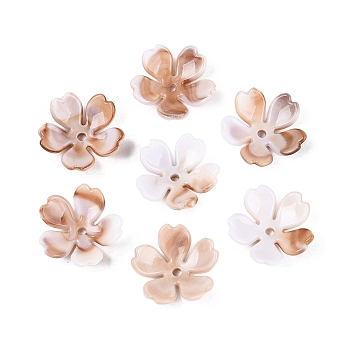 Two Tone Opaque Plastic Bead Caps, 5-Petal Flower, Peru, 17.5~18x18~18.5x5.5~6mm, Hole: 1.8mm, about 1220pcs/500g