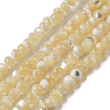Pale Goldenrod Round Trochus Shell Beads