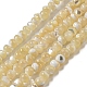 Natural Trochus Shell Beads Strands(SSHEL-H072-13A)-1