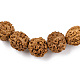 Natural Rudraksha Beaded Stretch Bracelet(BJEW-N029-001)-2