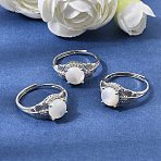 Brass Micro Pave Cubic Zirconia Finger Rings, Round with Butterfly, with Natural White Shell, Platinum, Flat Round: 10x8mm, US Size 7 1/4(17.5mm)(CU-CBA260E-06P)